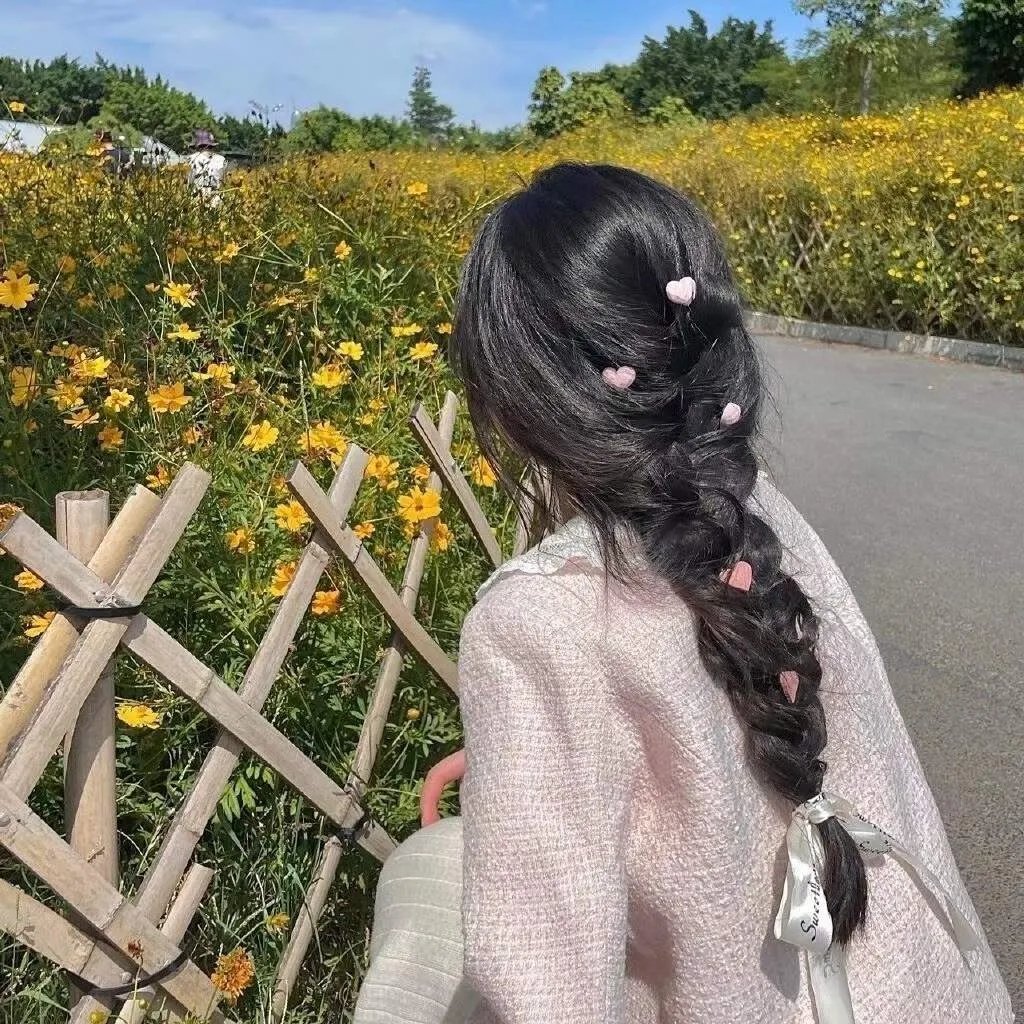 风行四季 海报