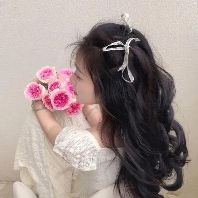 虎将征西 海报